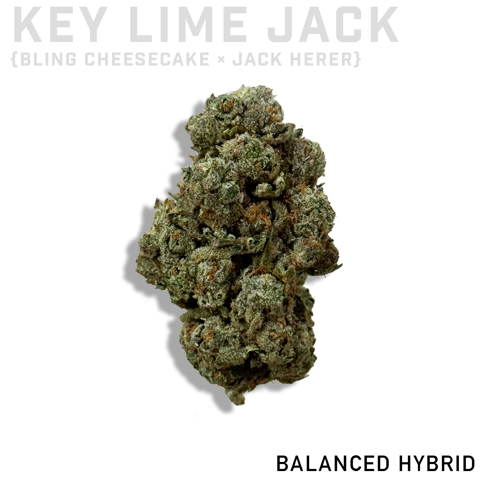 Key Lime Jack