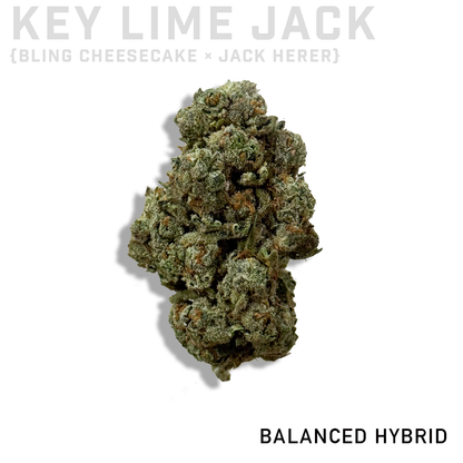 Key Lime Jack