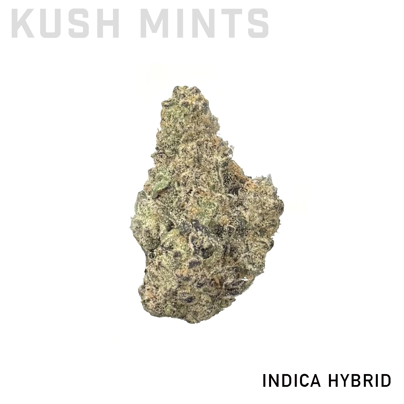 Kush Mints