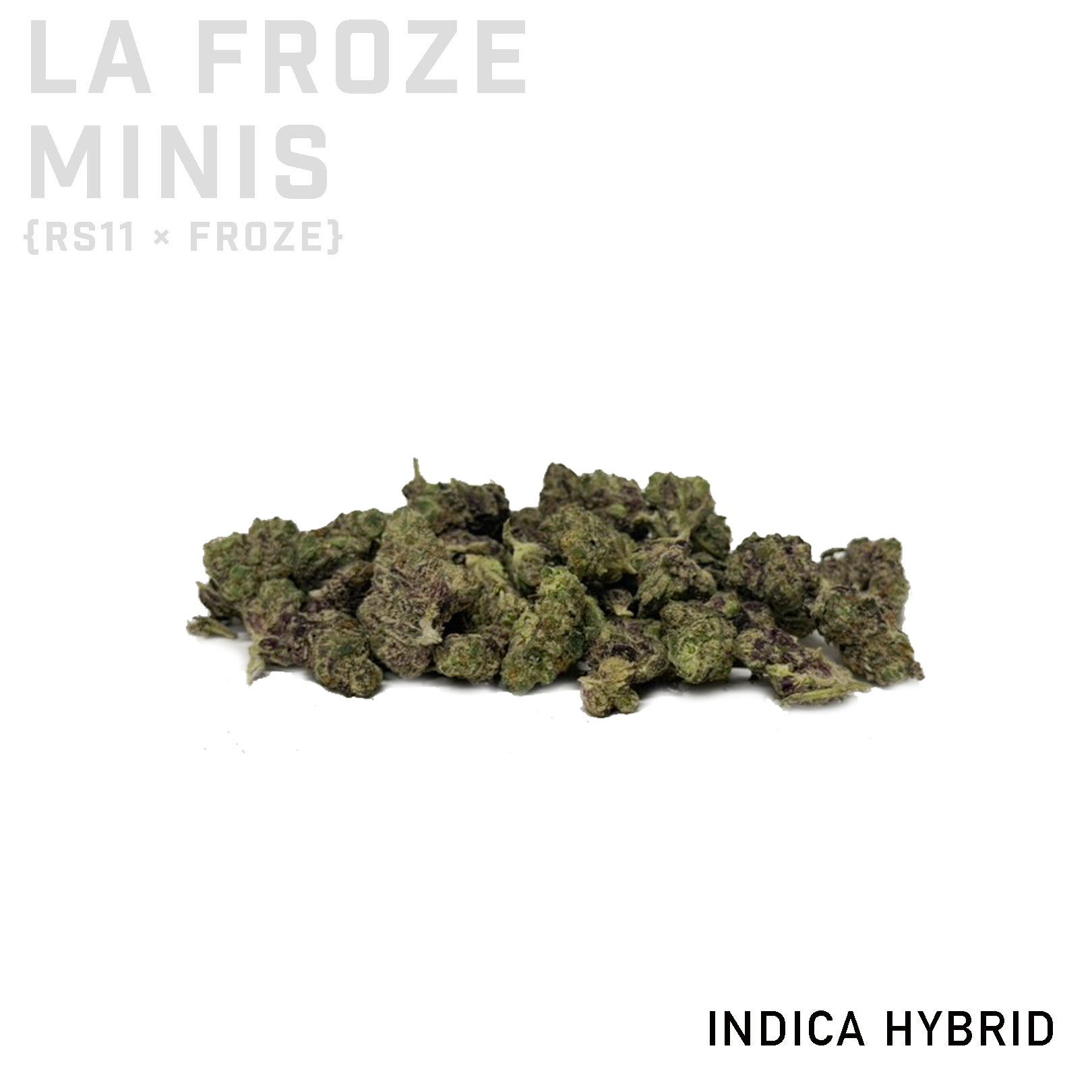 LA Froze Minis