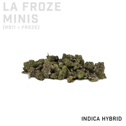 LA Froze Minis