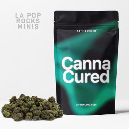 LA Pop Rocks Minis