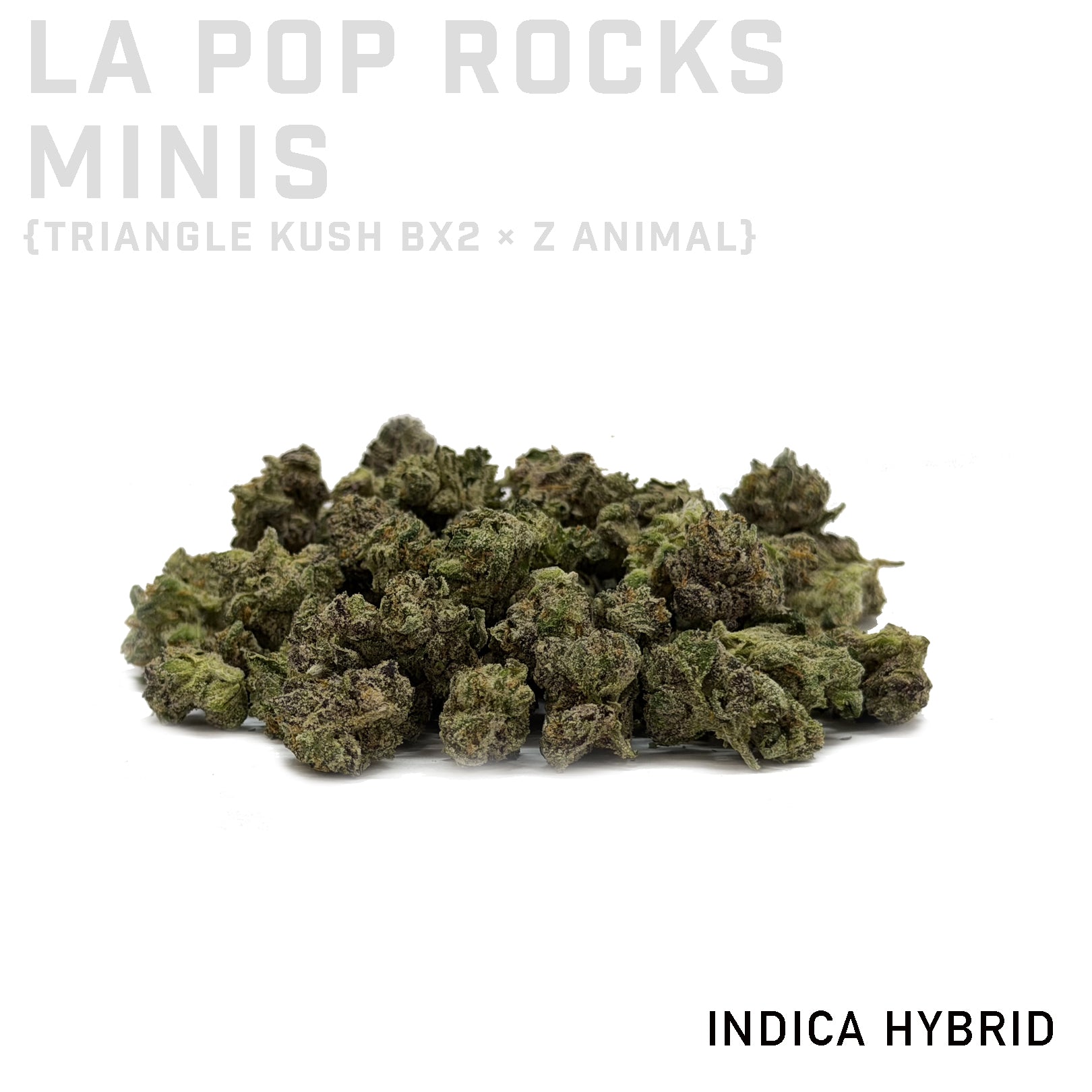 LA Pop Rocks Minis