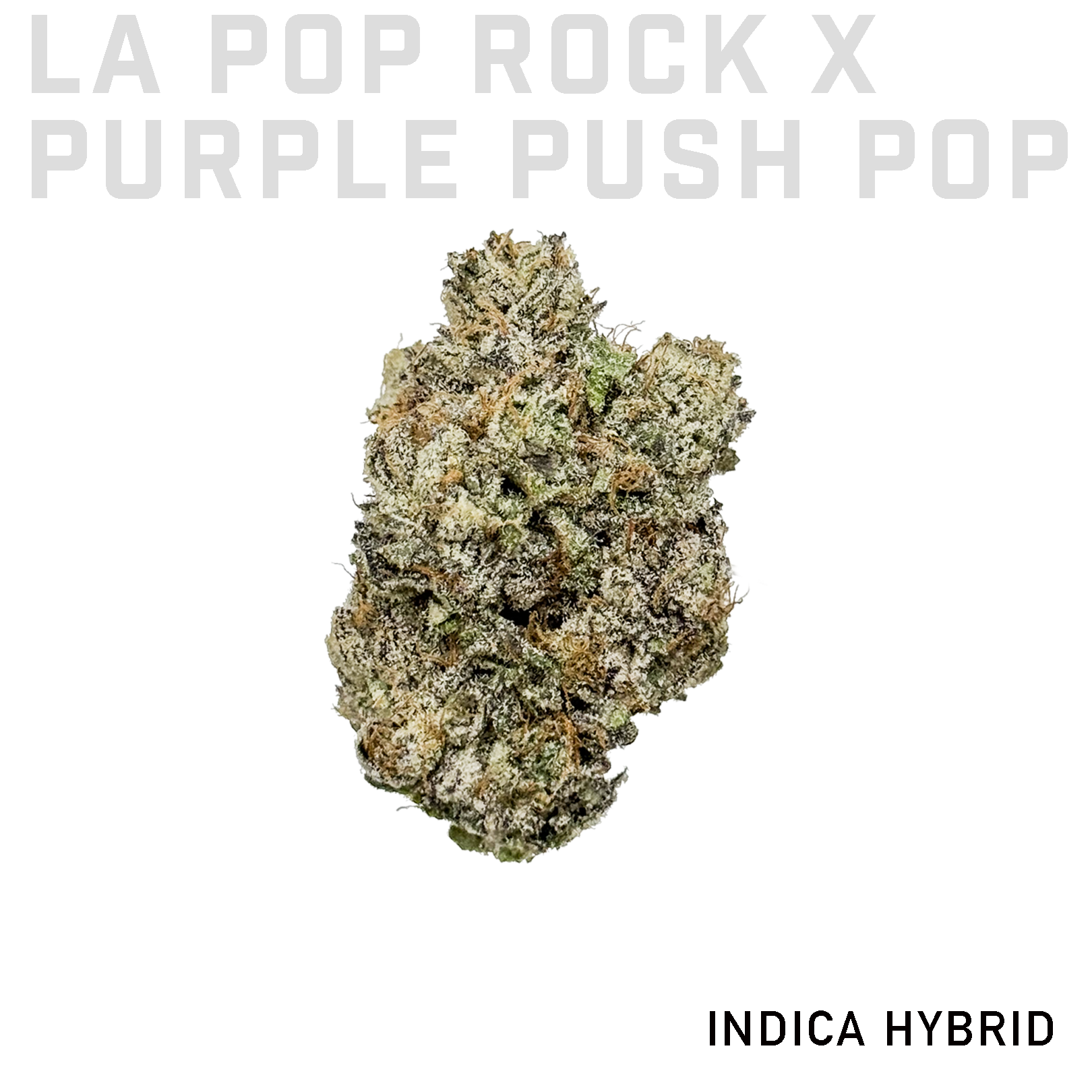 LA Pop Rock x Purple Push Pop
