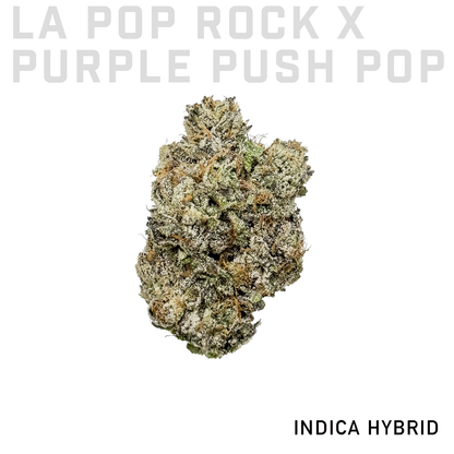 LA Pop Rock x Purple Push Pop