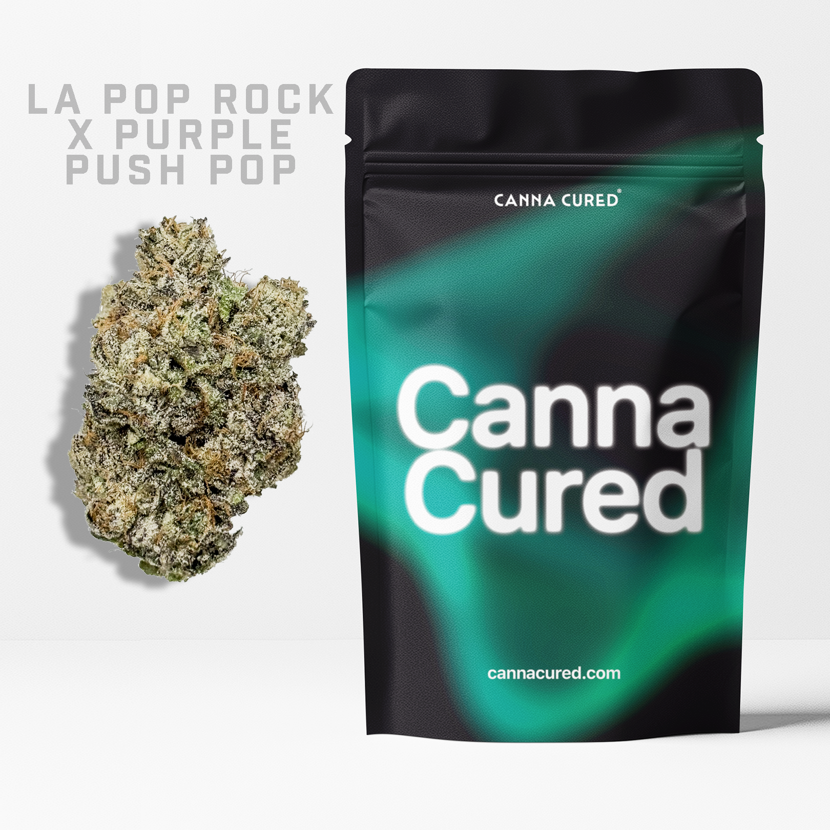LA Pop Rock x Purple Push Pop