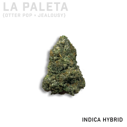 LA Paleta