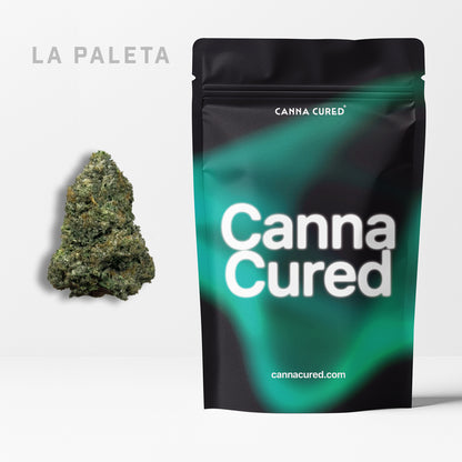 LA Paleta