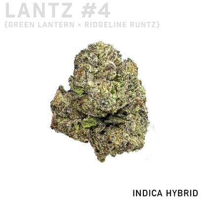 Lantz #4