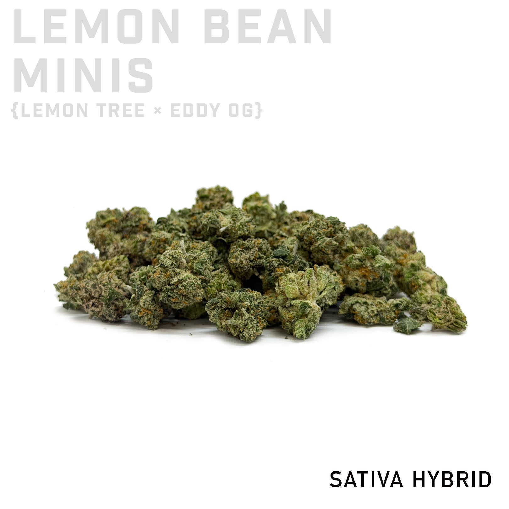 Lemon Bean Minis