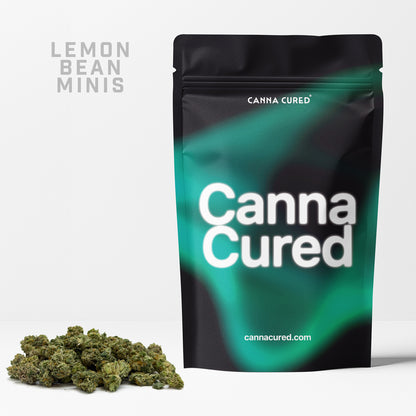 Lemon Bean Minis