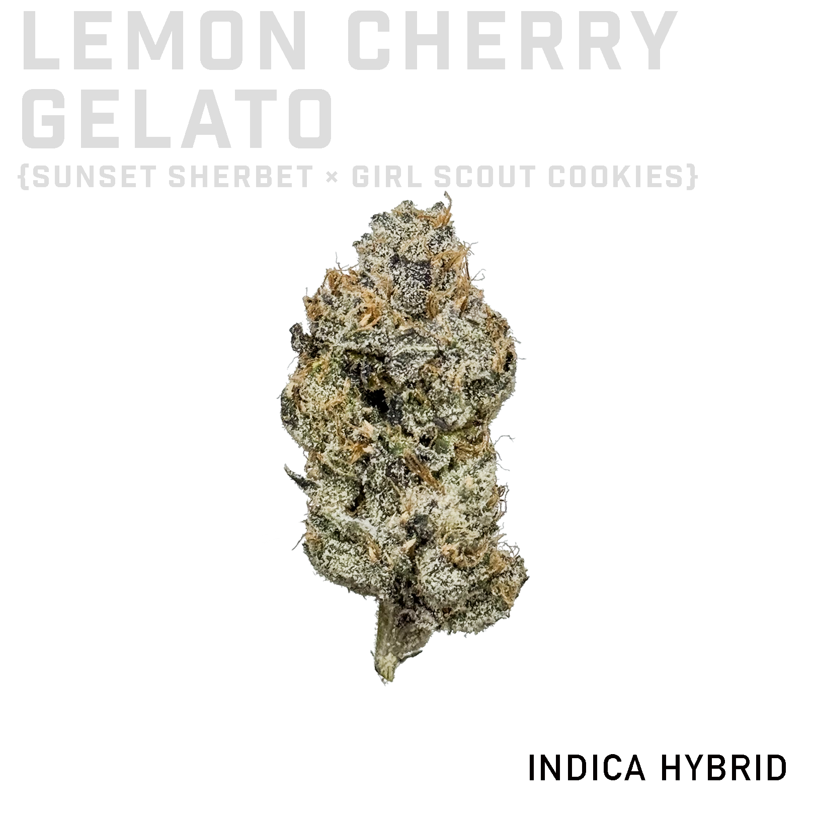 Lemon Cherry Gelato