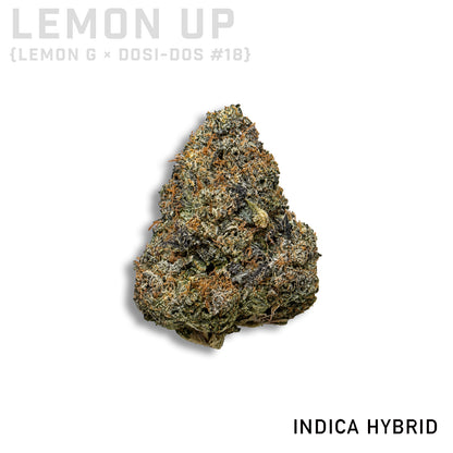 Lemon Up