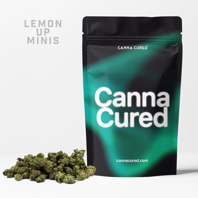 Lemon Up Minis