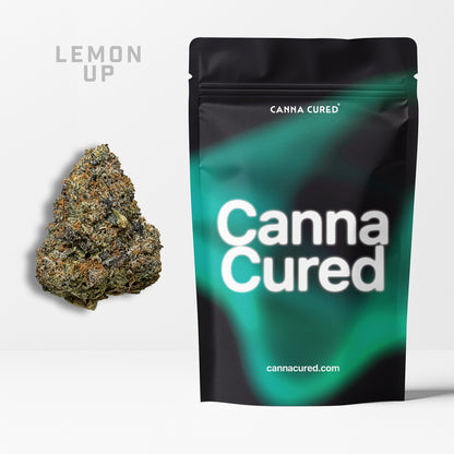Lemon Up