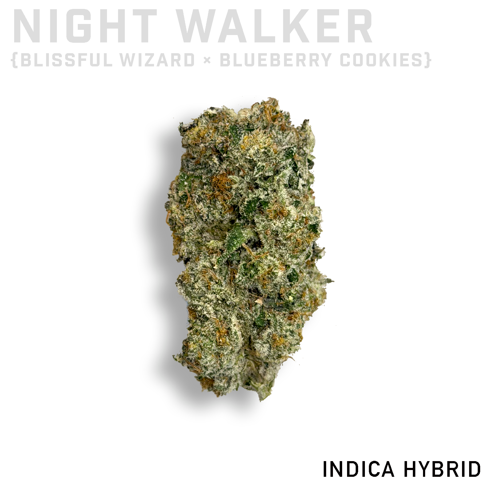 Night Walker