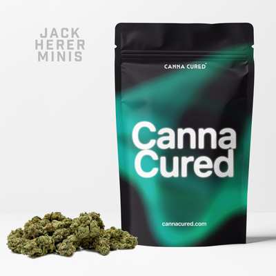 Jack Herer Minis