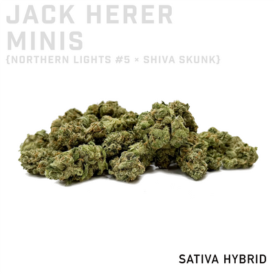 Jack Herer Minis