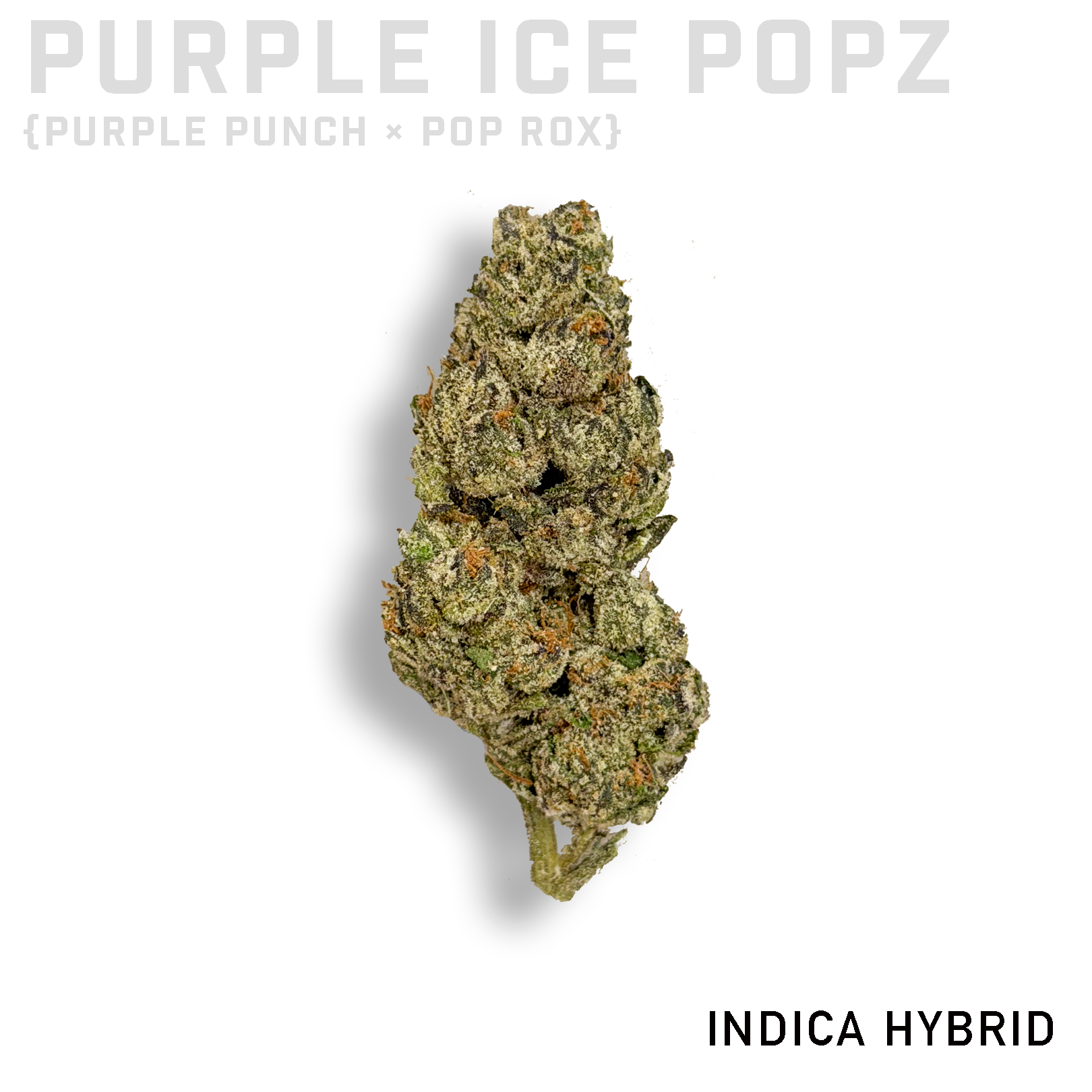 Purple Ice Popz