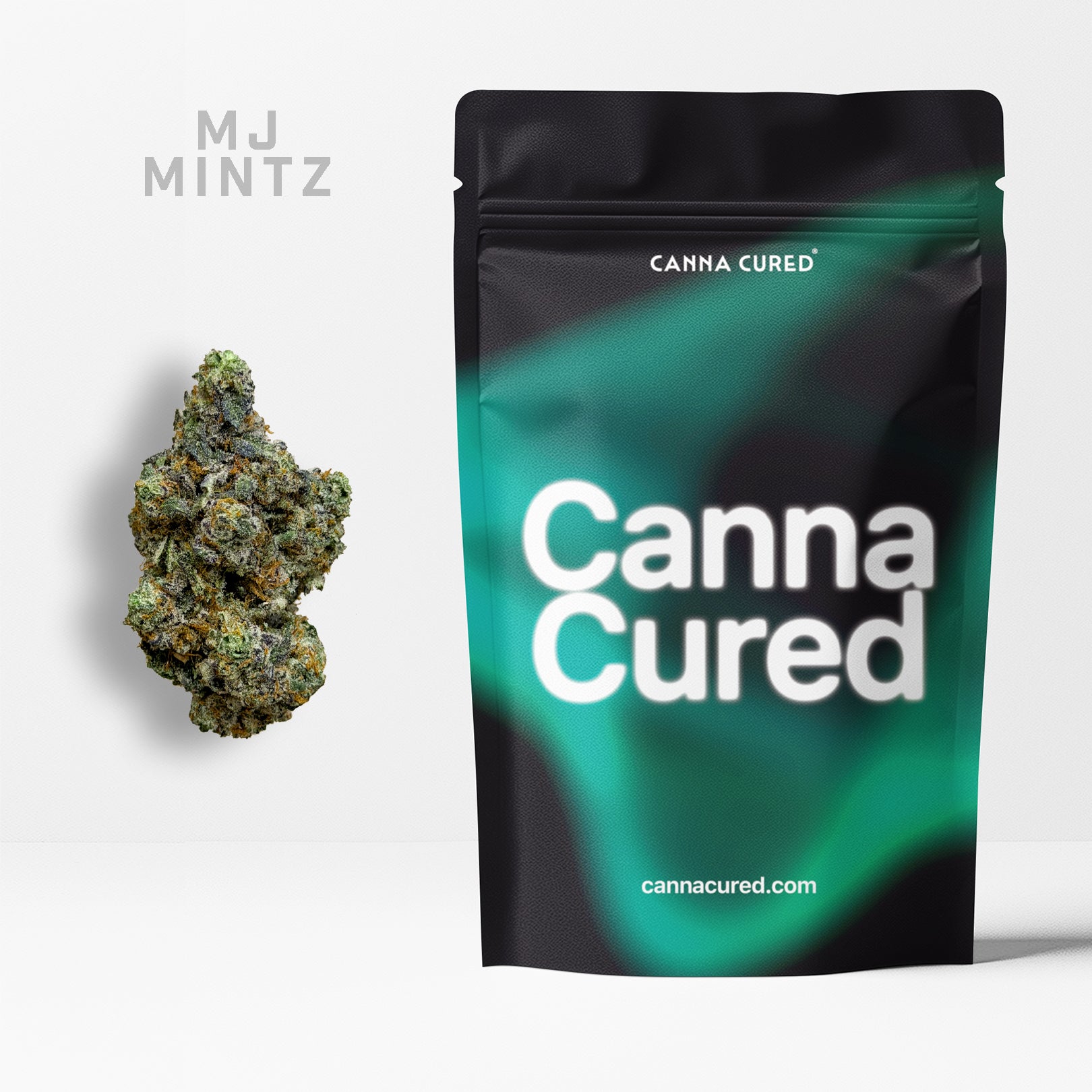 MJ Mintz