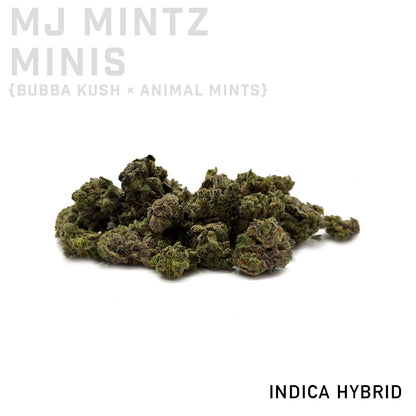 MJ Mintz Minis