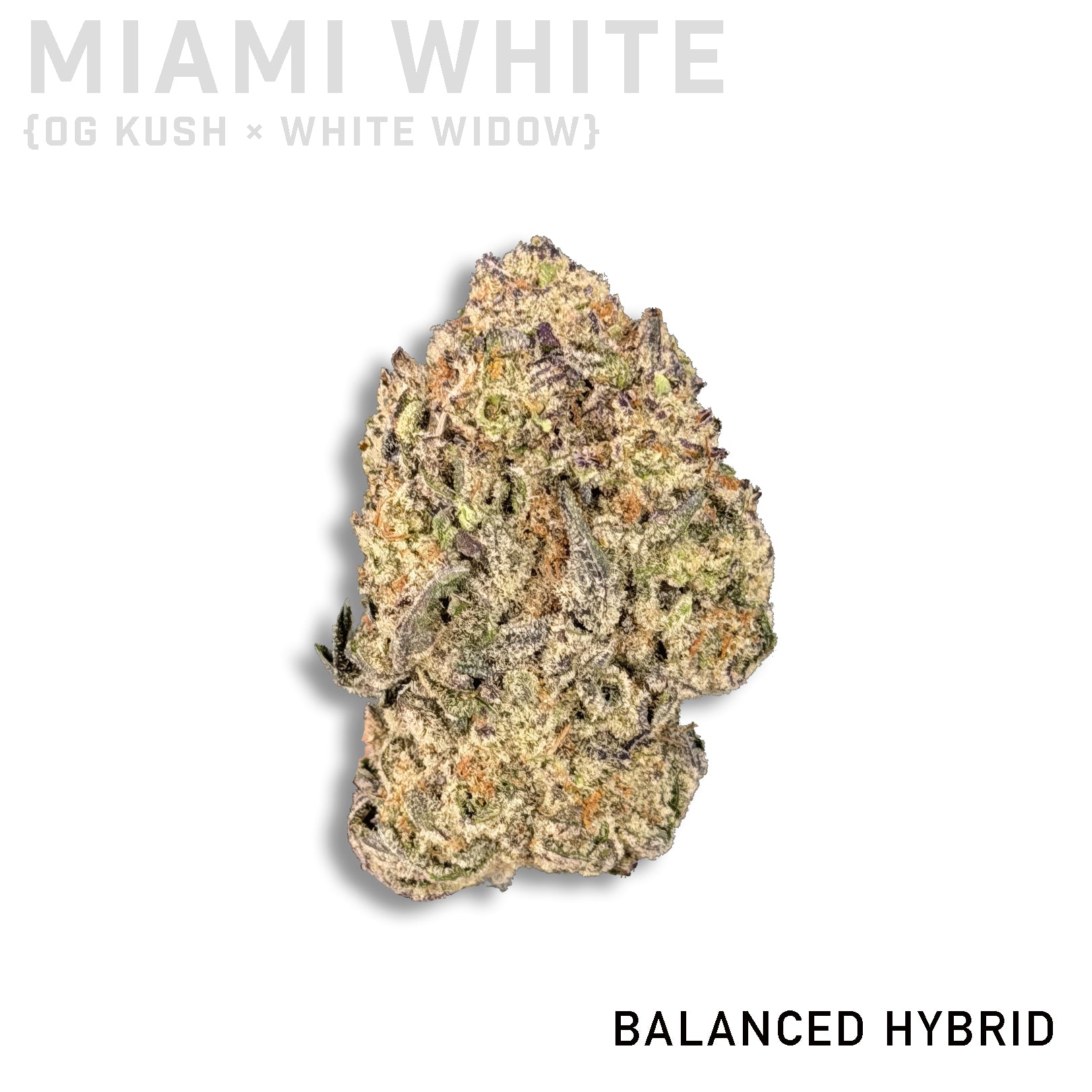 Miami White