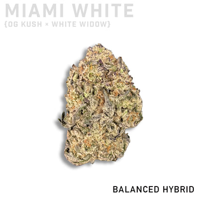 Miami White
