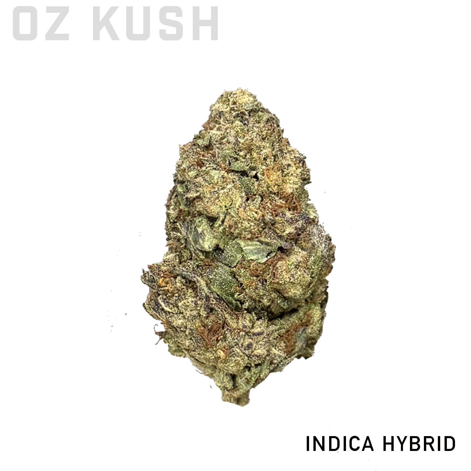 OZ Kush