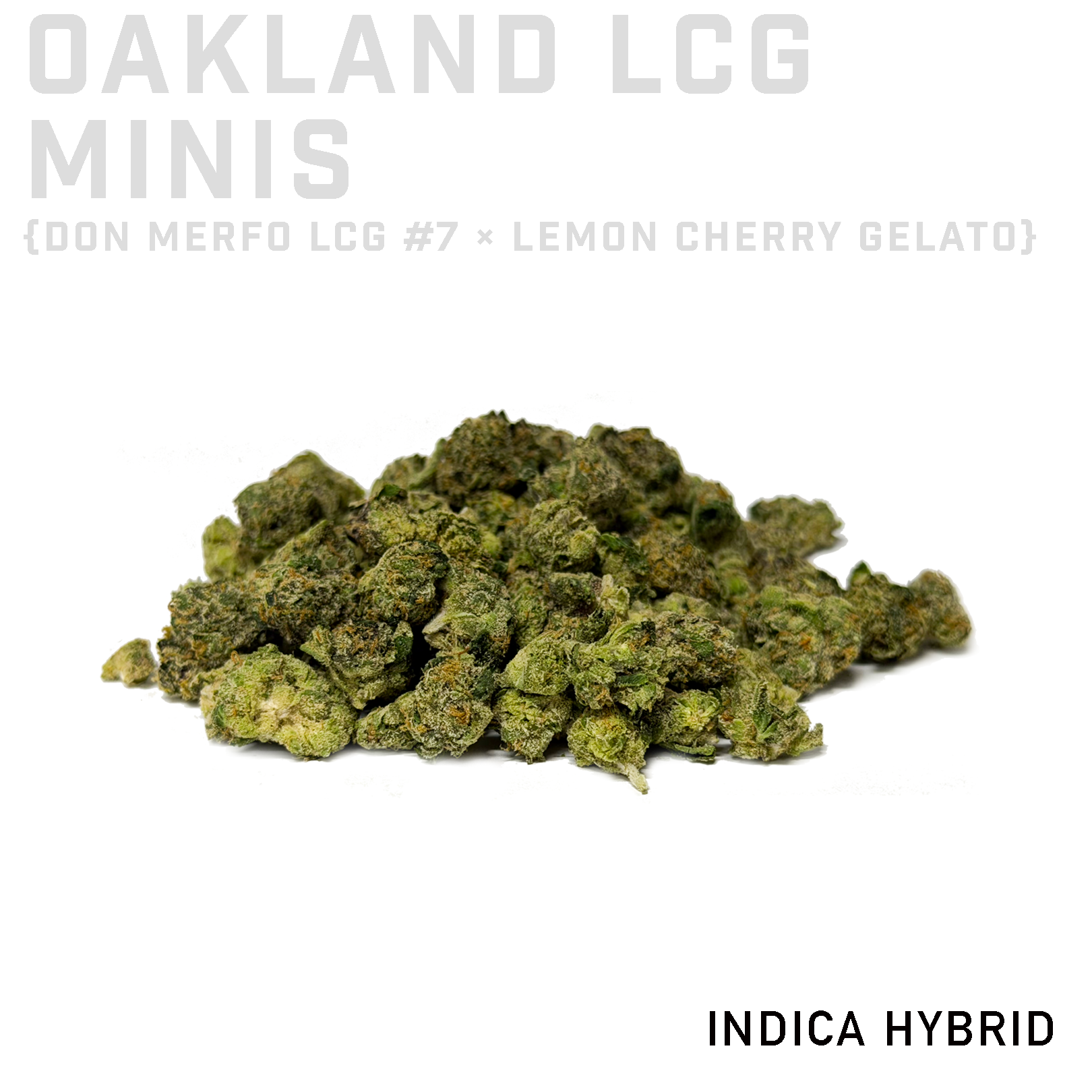 Oakland LCG Minis
