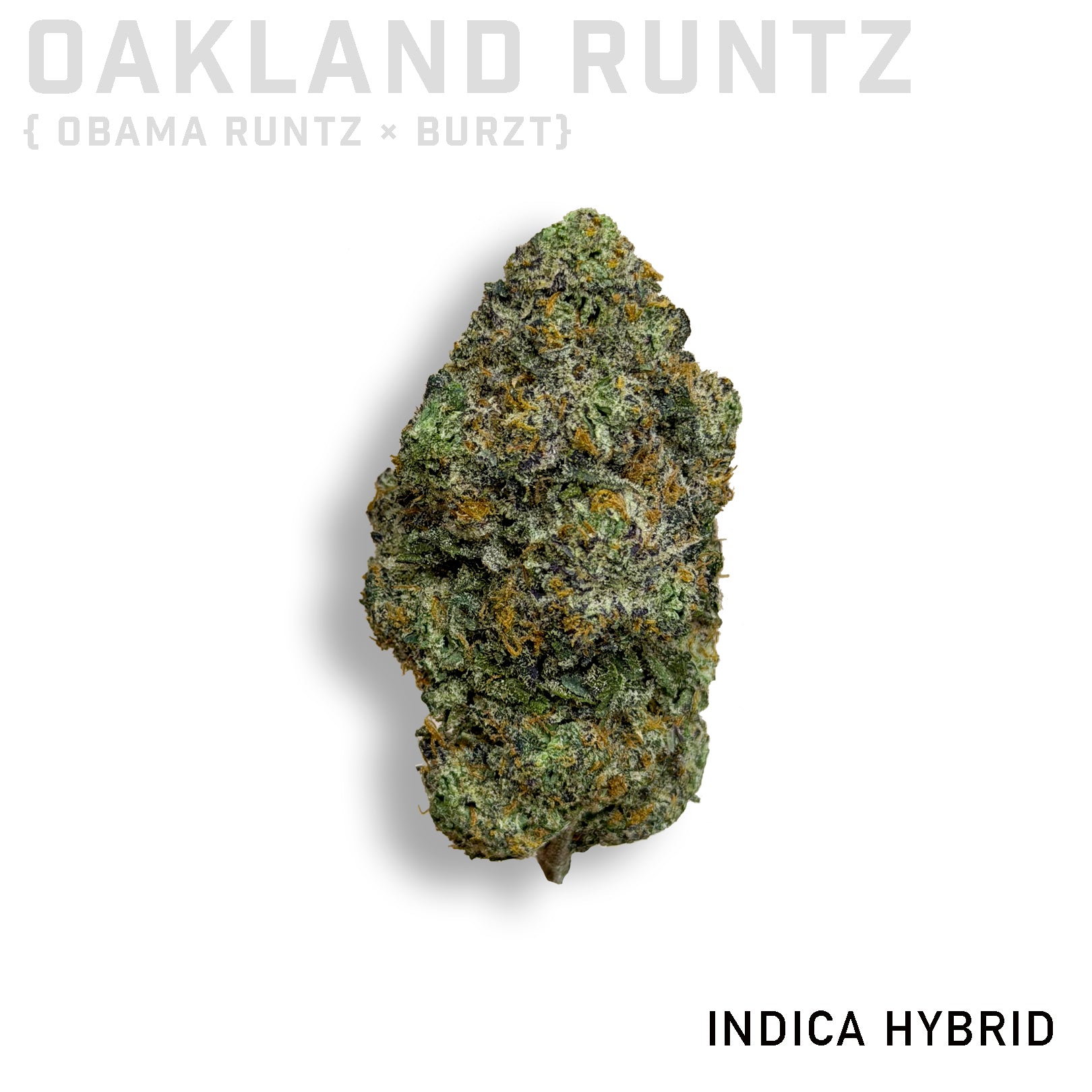Oakland Runtz