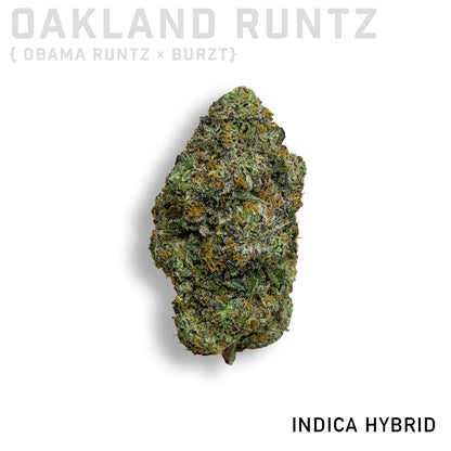 Oakland Runtz