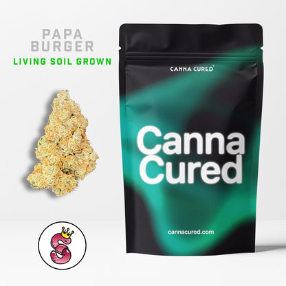 Papa Burger by No Till Kings