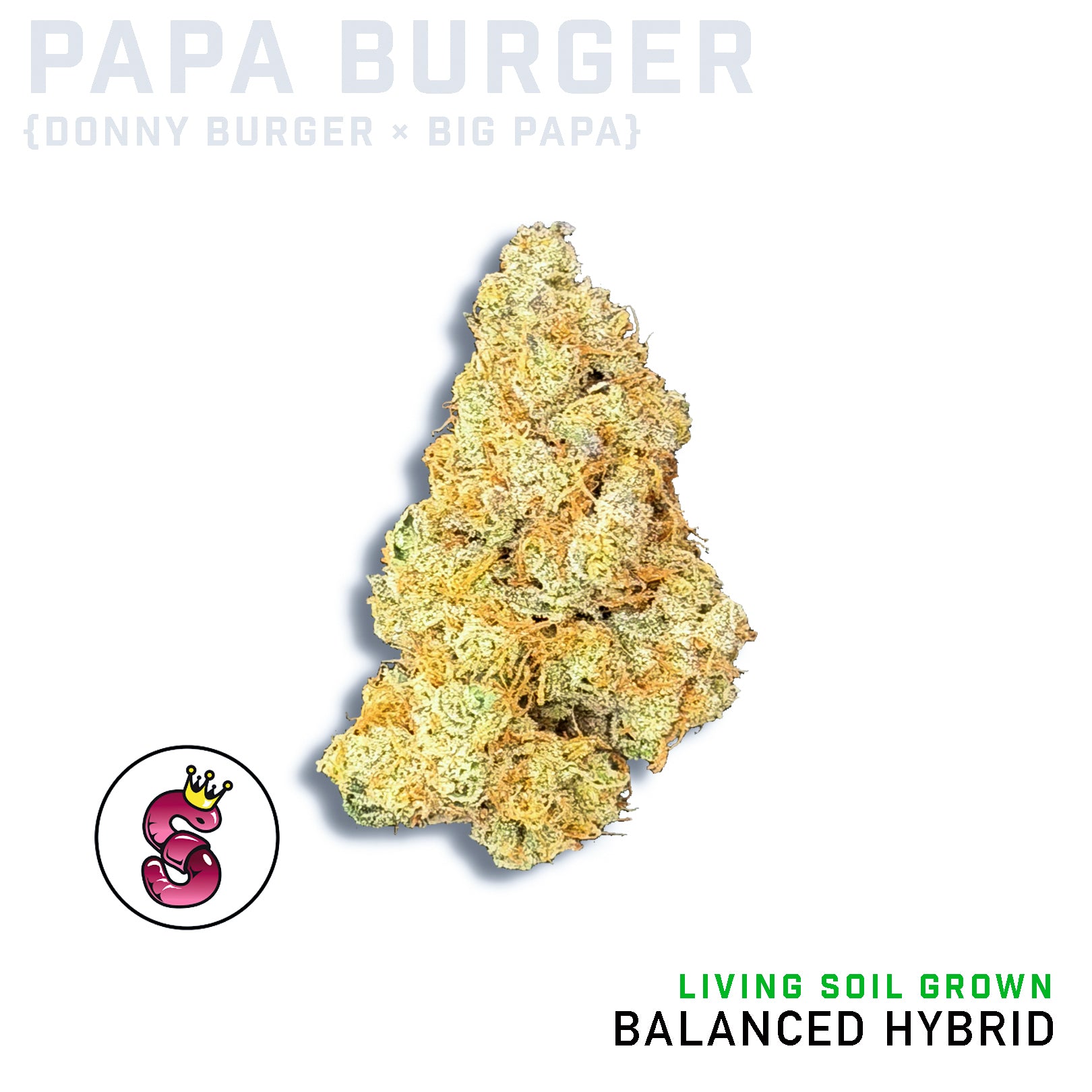 Papa Burger by No Till Kings