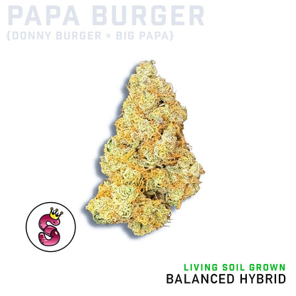 Papa Burger by No Till Kings