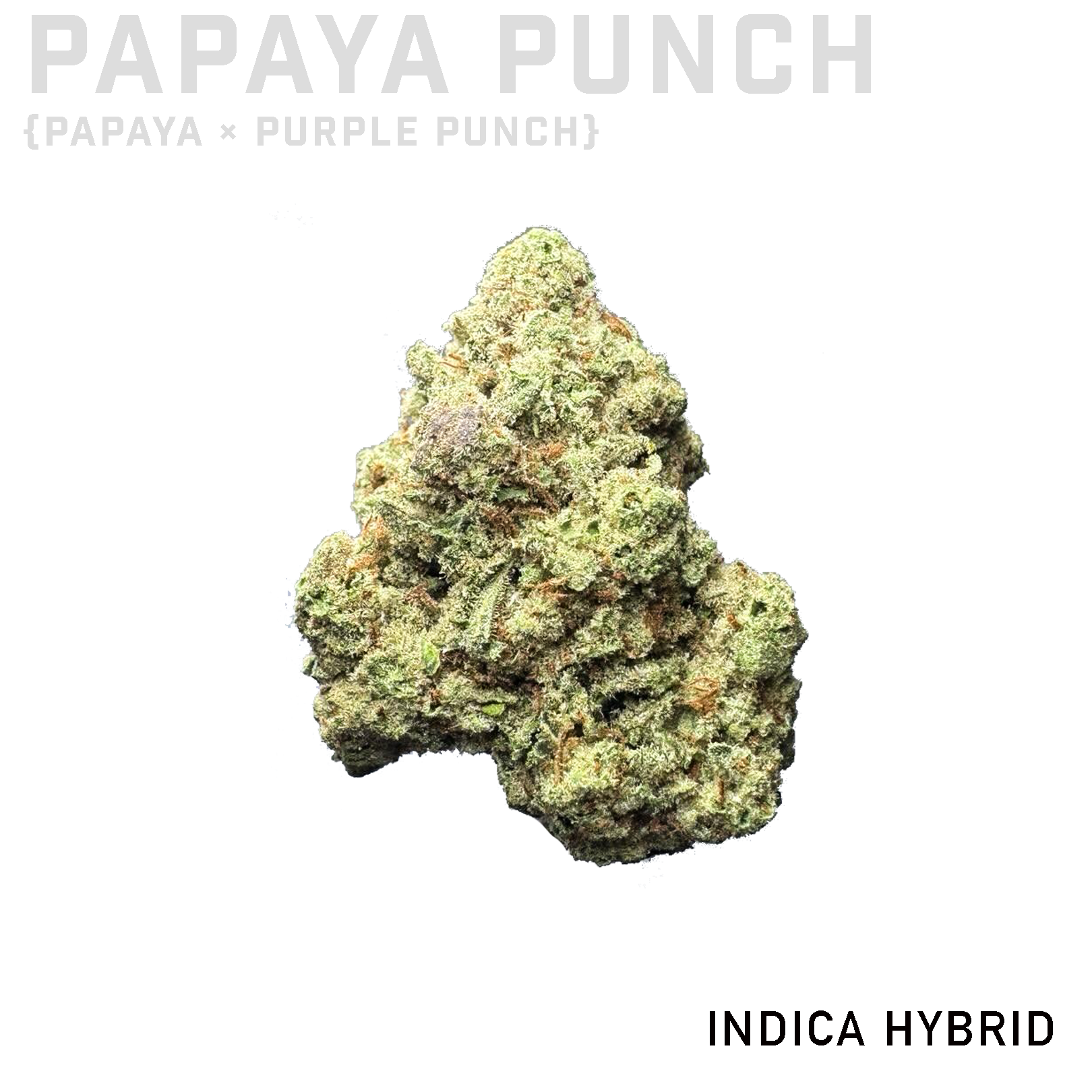 Papaya Punch