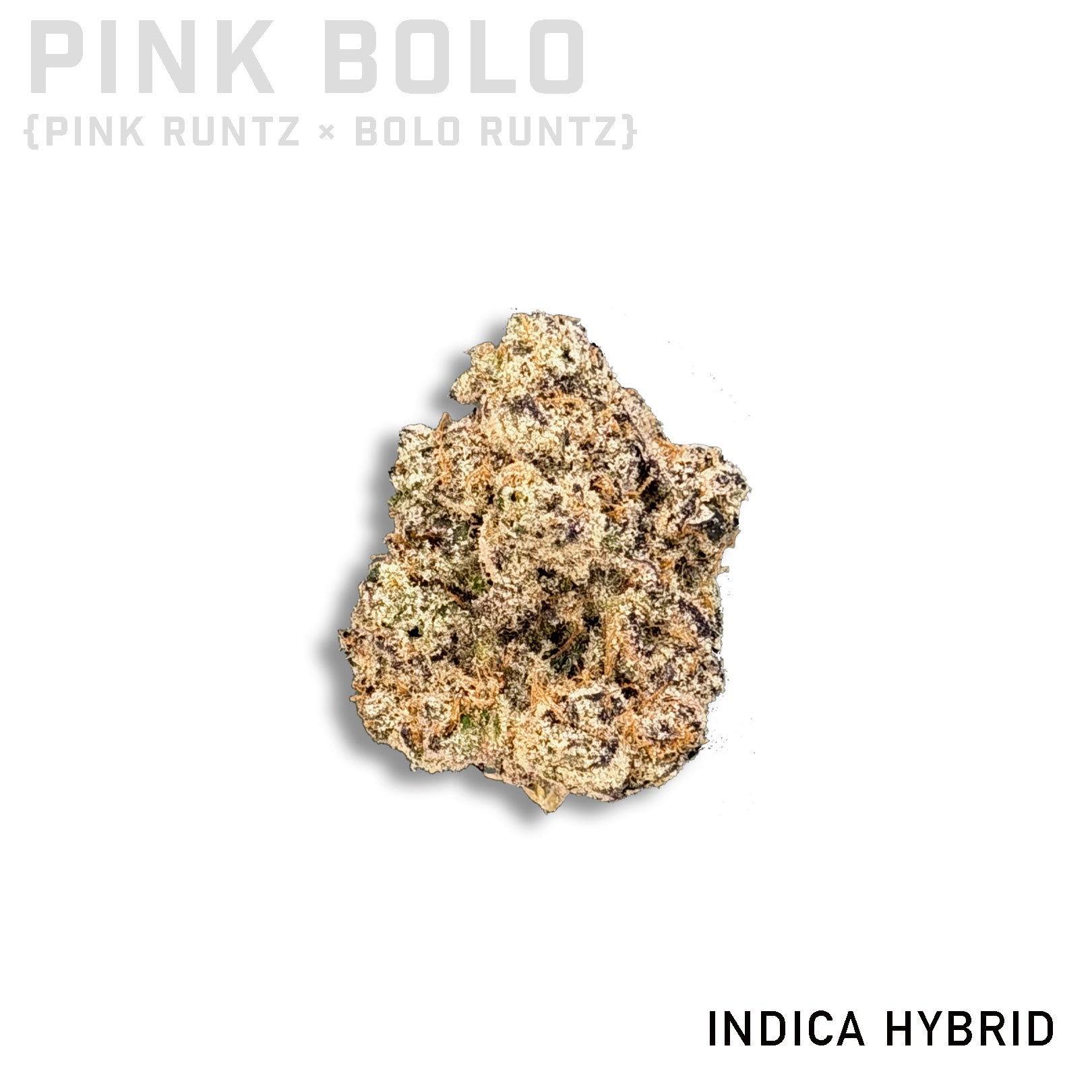 Pink Bolo