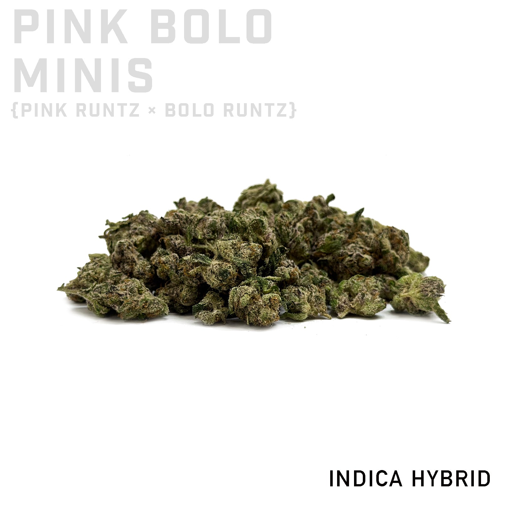 Pink Bolo Minis