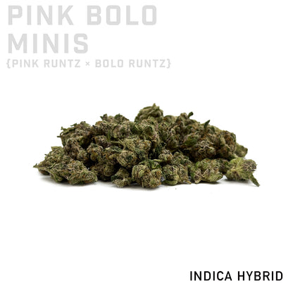 Pink Bolo Minis