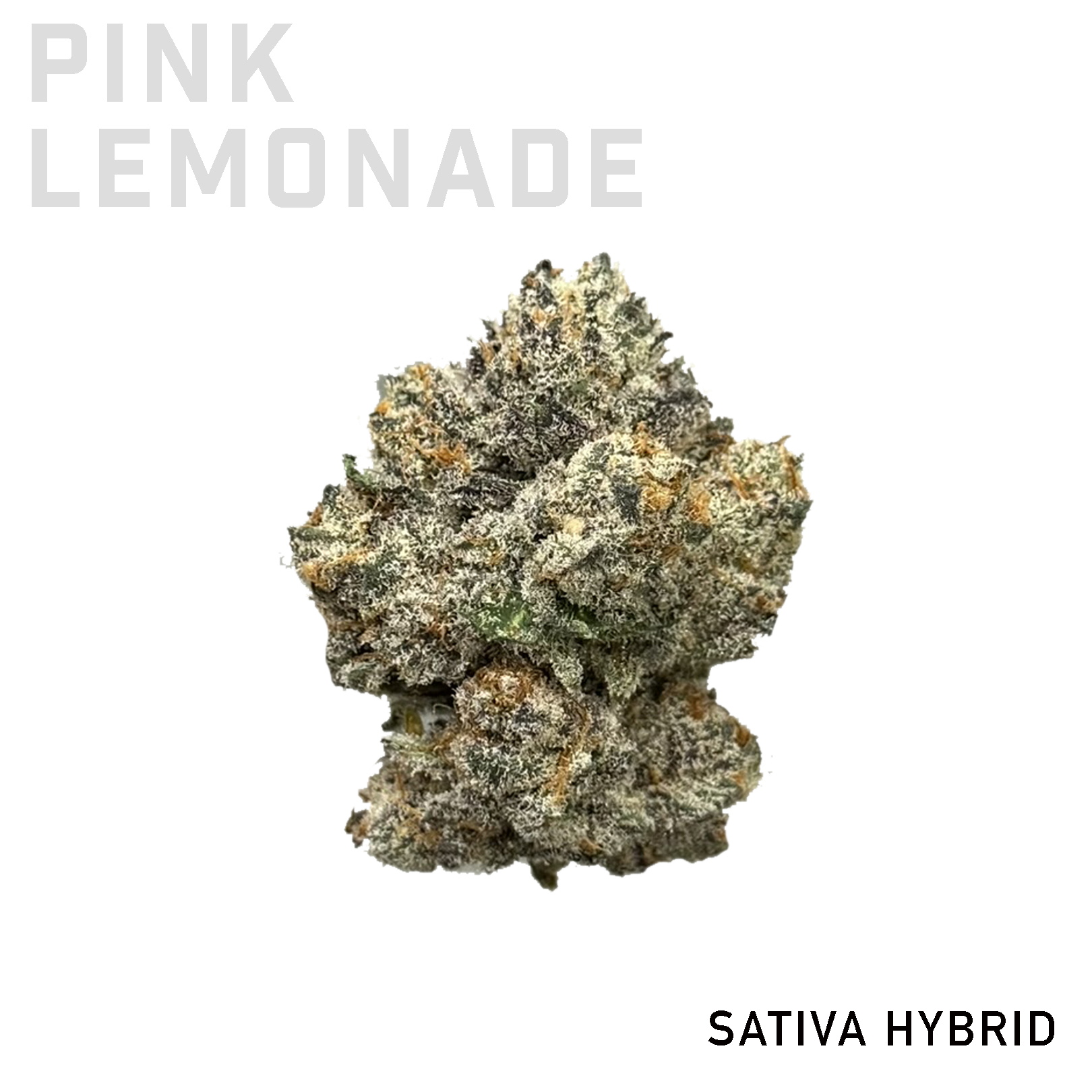 Pink Lemonade