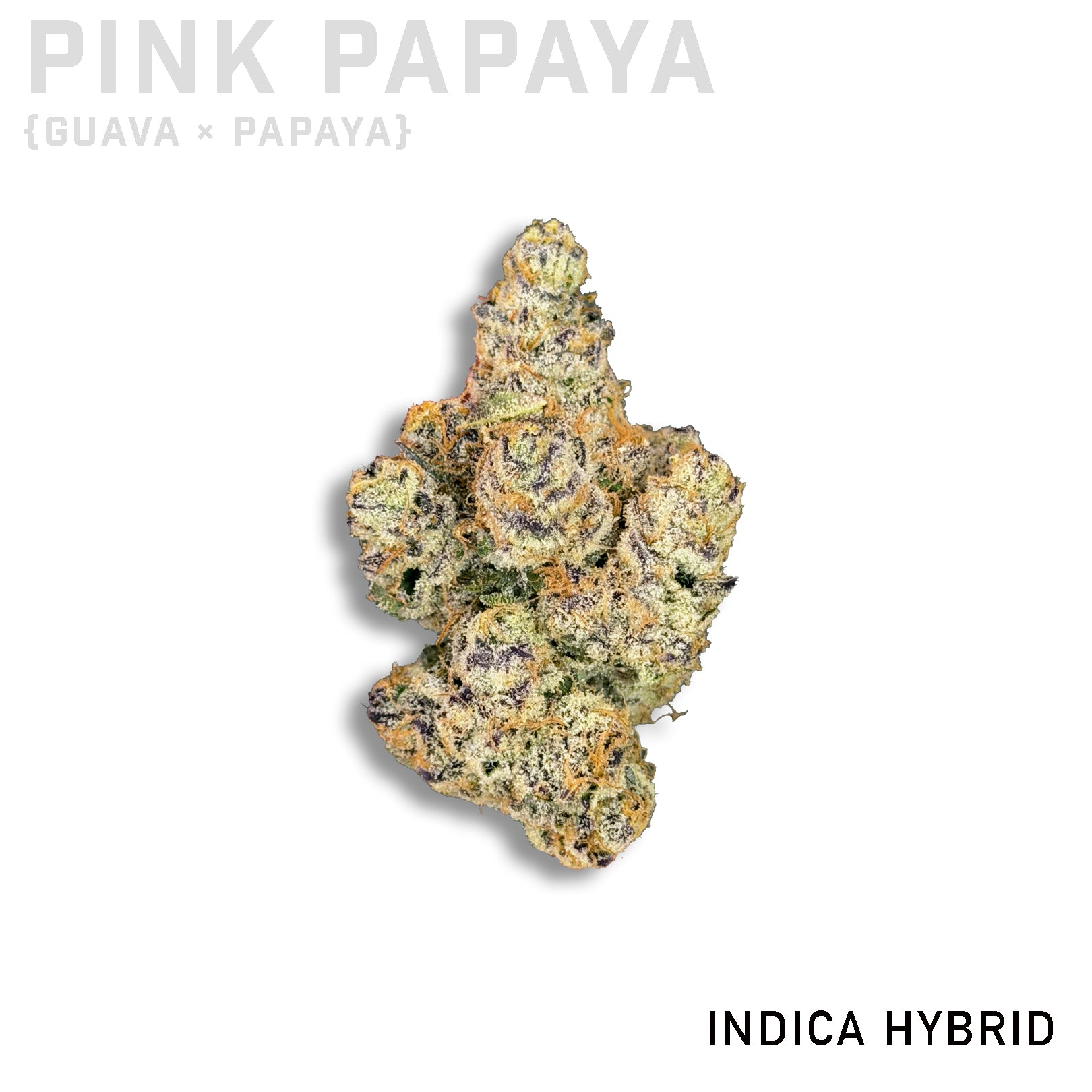 Pink Papaya
