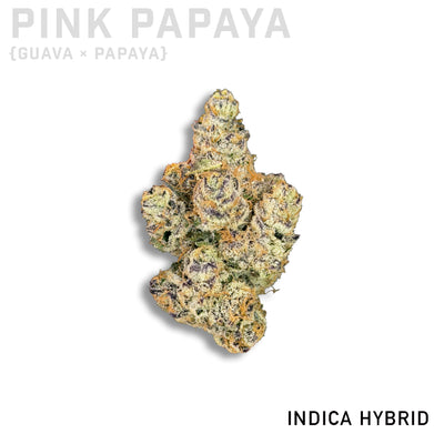 Pink Papaya