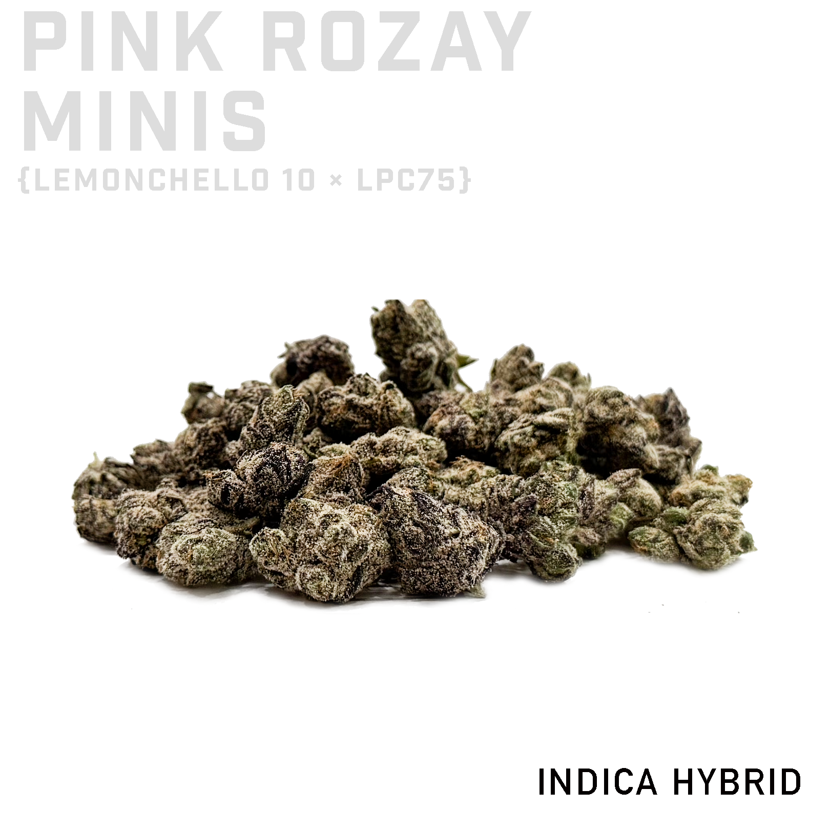 Pink Rozay Minis