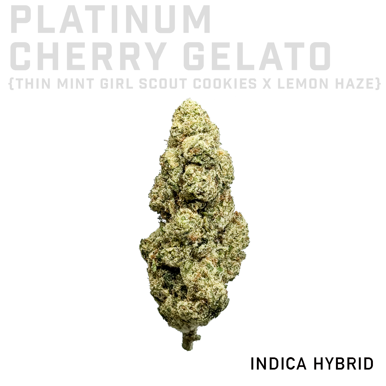 Platinum Cherry Gelato