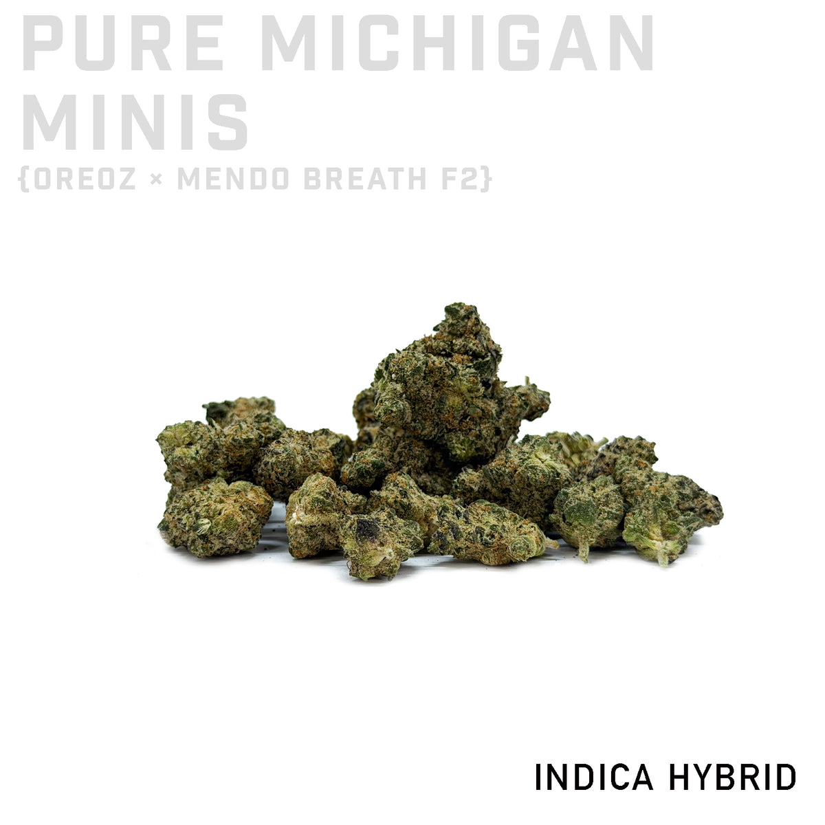 Pure Michigan Minis