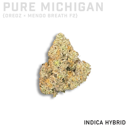 Pure Michigan
