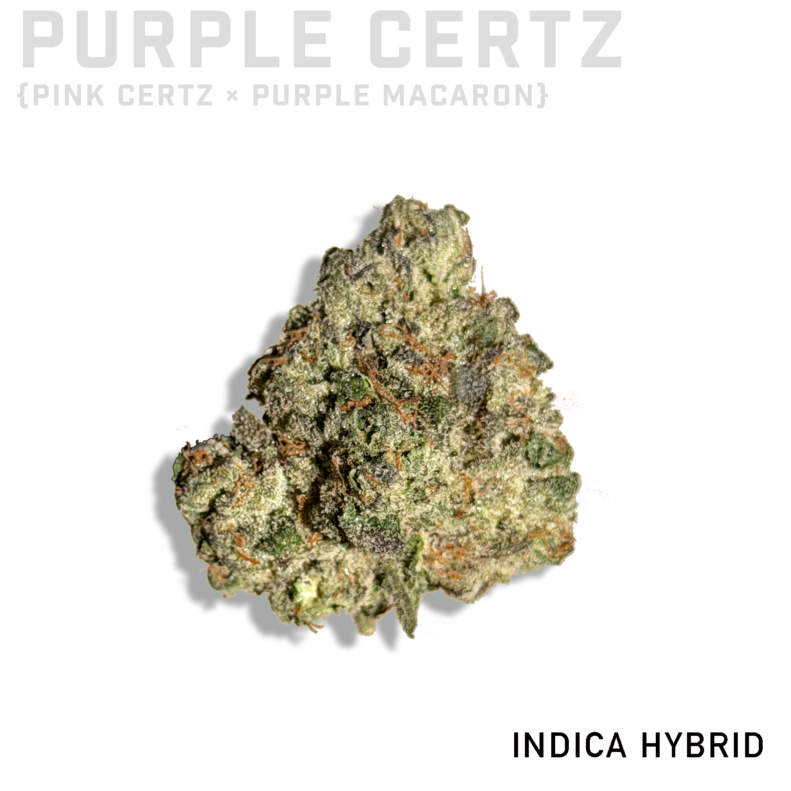 Purple Certz