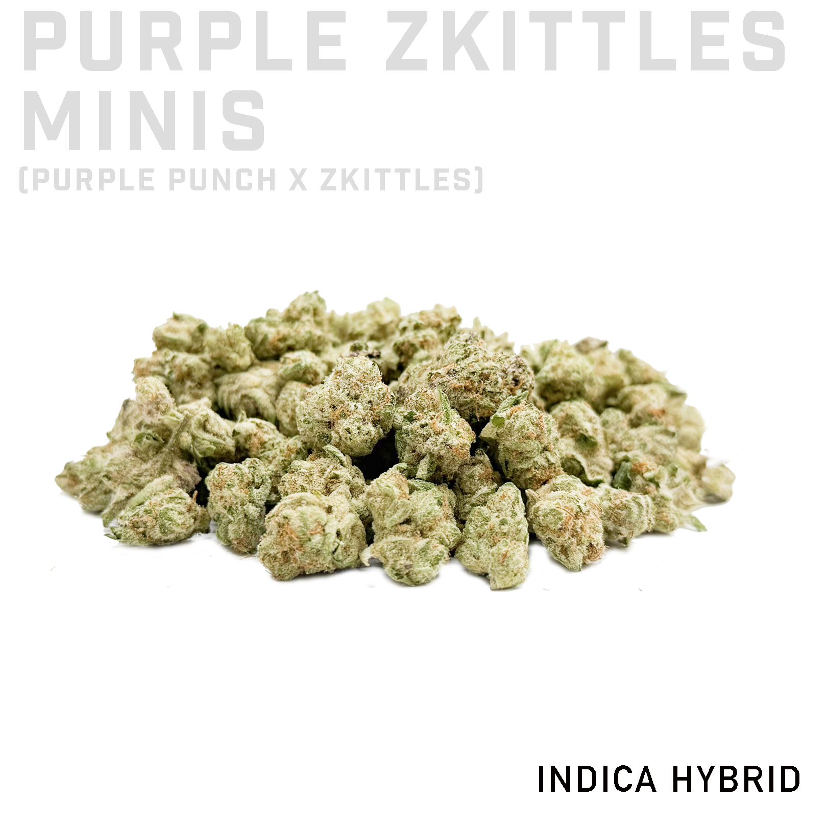Purple Zkittles Minis