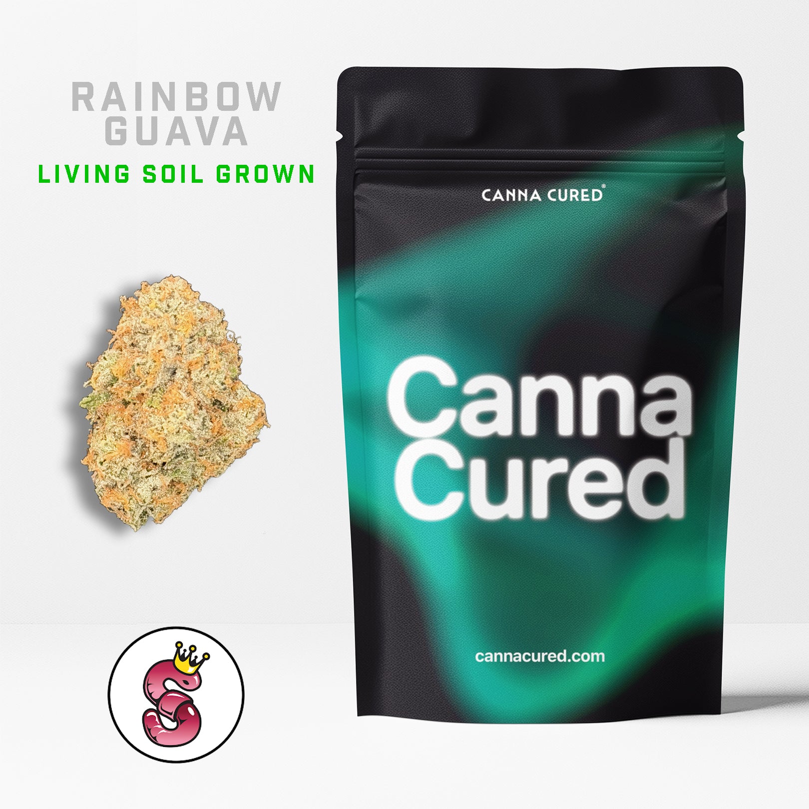 Rainbow Guava by No Till Kings