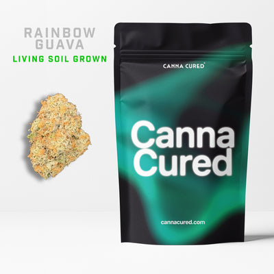 Rainbow Guava Living Soil Grown