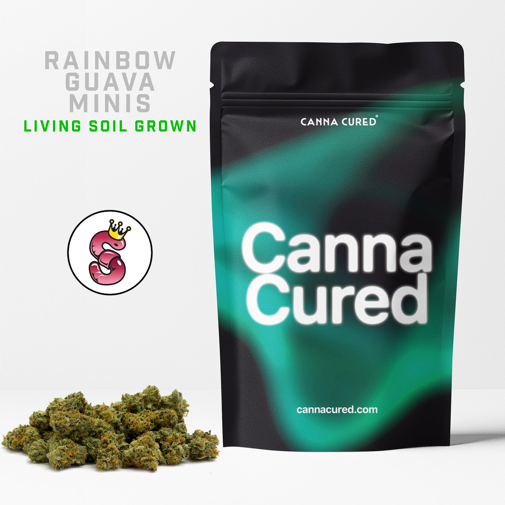 Rainbow Guava Minis by No Till Kings